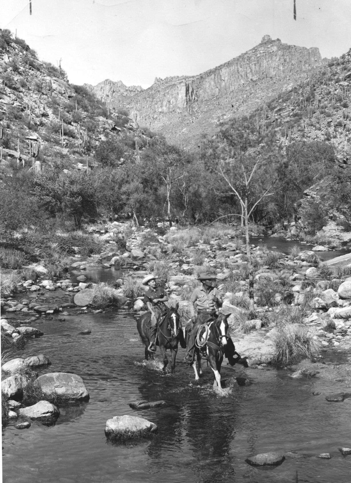 Sabino Canyon Recreation Area, Tucson
